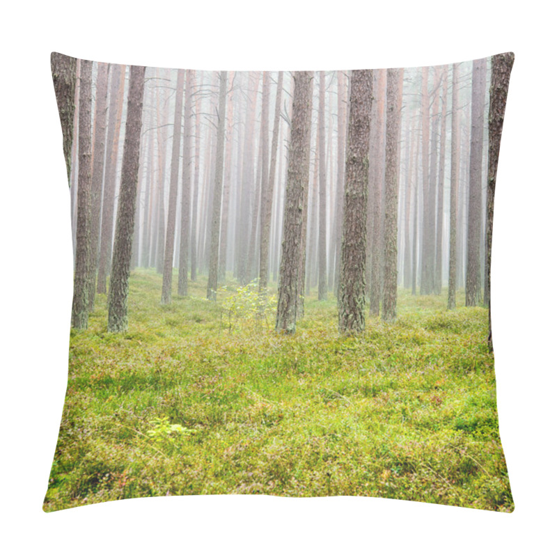 Personality  Misty Morning In The Woods Pillow Covers