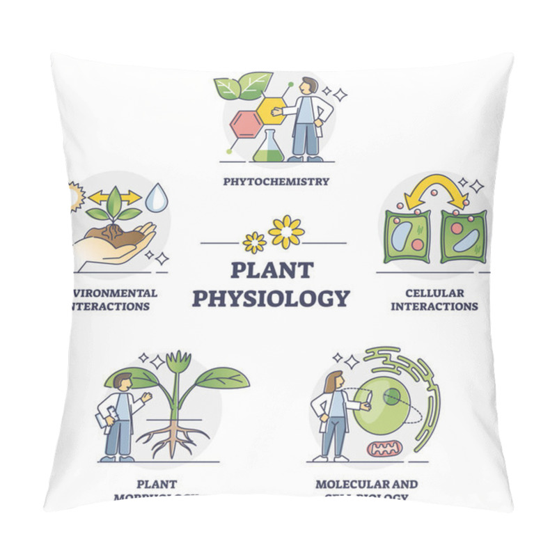 Personality  Plant Physiology Five Key Areas Study And Research Outline Collection Set Pillow Covers