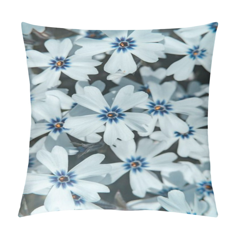 Personality  Delicate White Flowers With Blue Centers, Creating A Serene And Peaceful Garden Scene. Pillow Covers