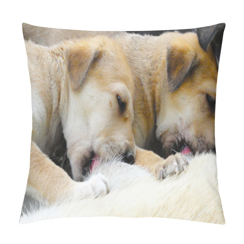 Personality  Two Puppies Breastfeeding From Mother Dog Pillow Covers