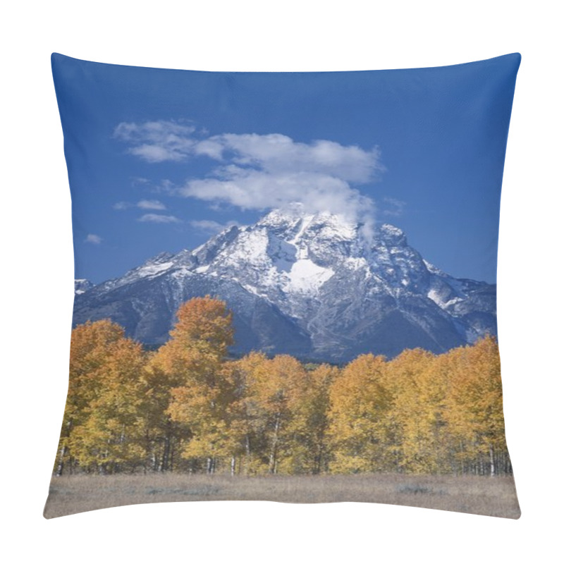 Personality  Mount Moran Covered With Fresh Snow Surrounded By Aspen Grove, Grand Teton National Park Pillow Covers