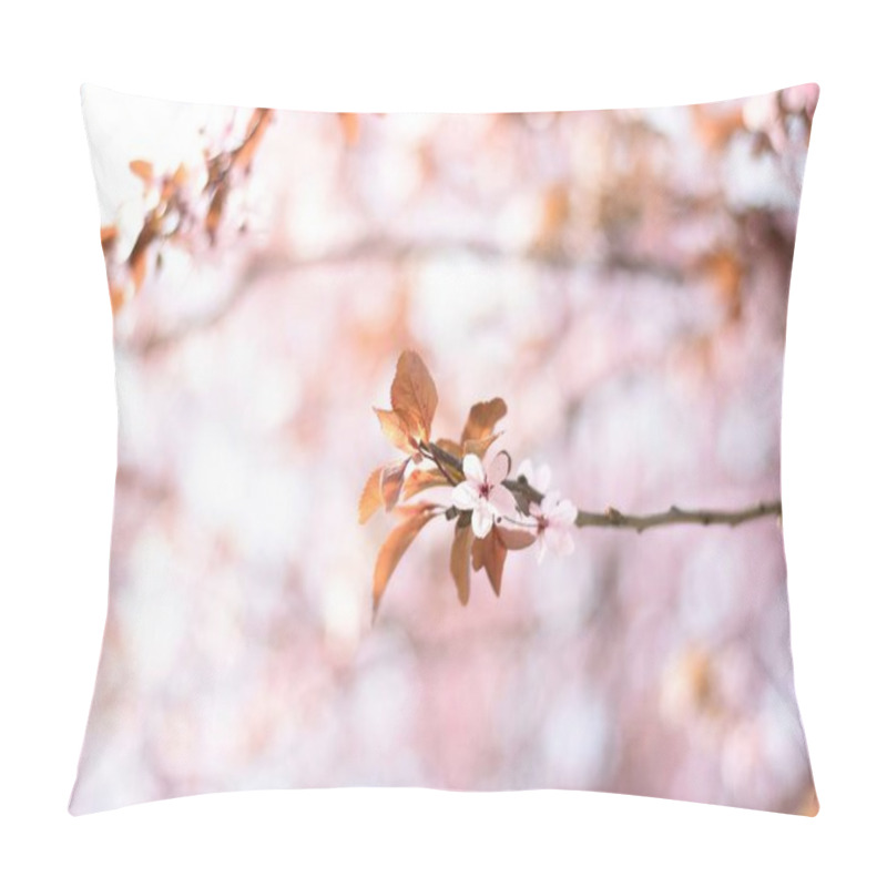 Personality  Delicate Pink Blossoms On A Branch Against A Soft, Pastel Background. Pillow Covers