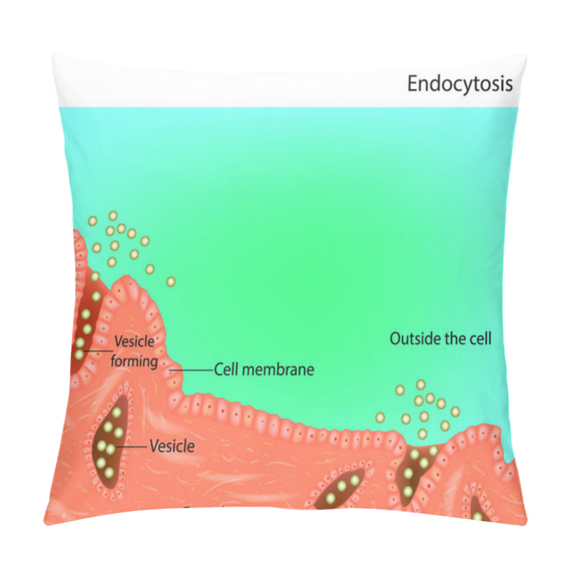 Personality  Endocytosis. Process Of Vesicle Transport For Endocytosis Pillow Covers