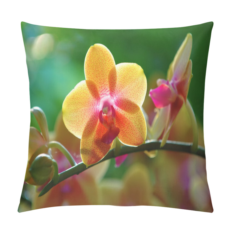 Personality  Yellow Orchid Pillow Covers