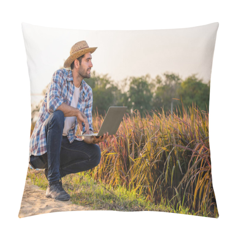 Personality  Farmers Utilize Data Analytics, Remote Sensing, And Monitoring Tools To Make Informed Decisions. This Includes Analyzing Weather Patterns, Monitoring Crop Health, And Predicting Yield, Contributing To Better Decision-making. Pillow Covers