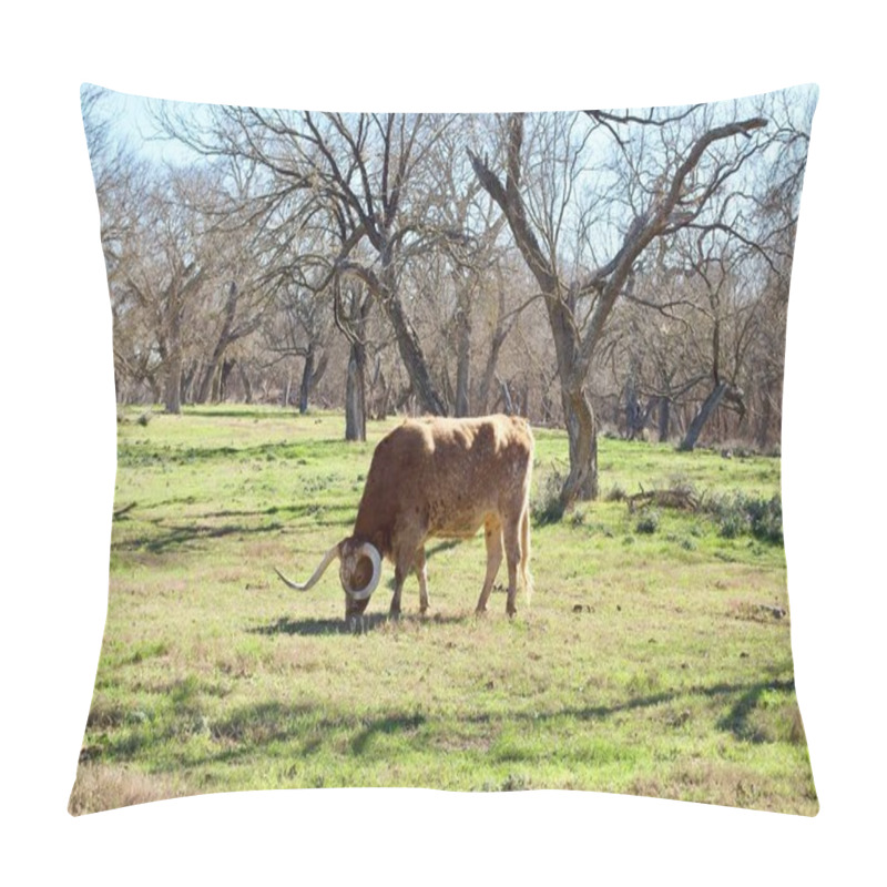 Personality  Texas Longhorn Named Biscuits And Gravy At Lyndon B. Johnson State Park And Historic Site And The Sauer-Beckmann Farmstead, A Living History Farm In Stonewall, Texas. Pillow Covers