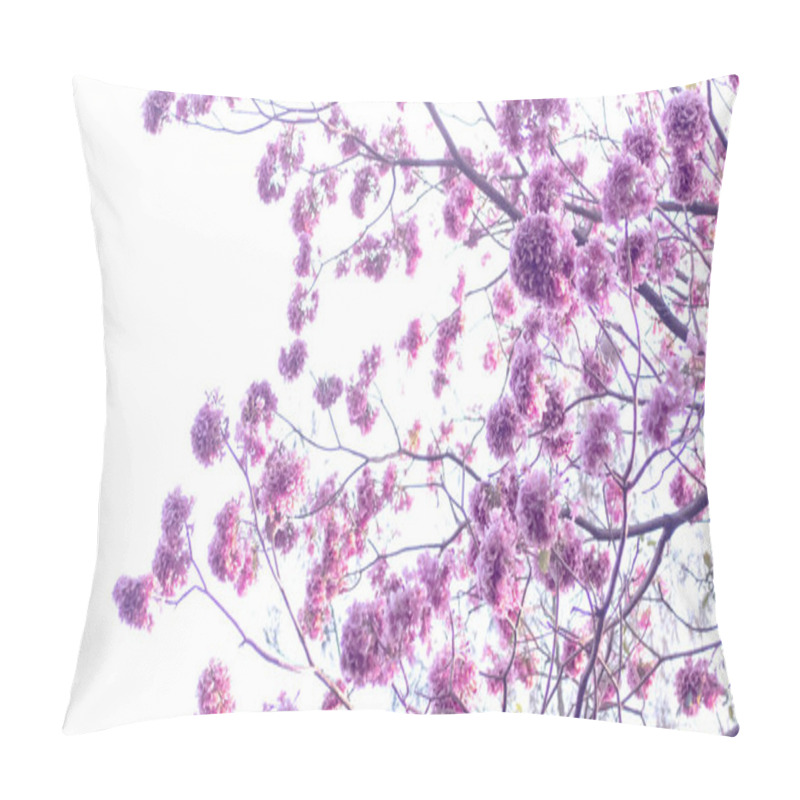 Personality  Spring Blossom Background. Beautiful Nature Scene With Blooming Tree And Sun Flare. Sunny Day. Spring Flowers. Beautiful Pink Flower. Background. Springtime  Pillow Covers