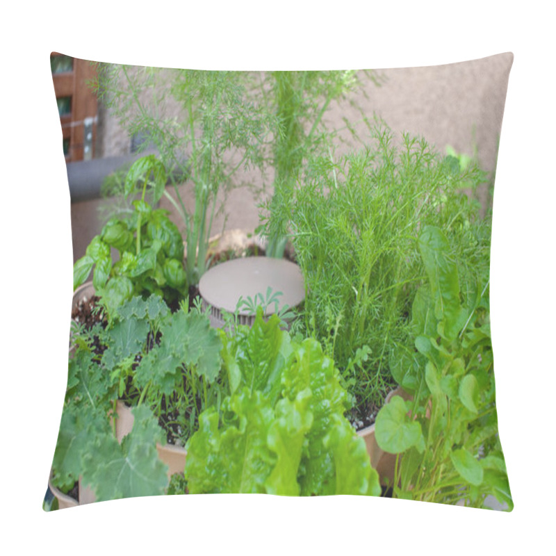 Personality  A Tall Vertical Garden Sits On An Apartment Balcony (patio) With Fresh Kale, Salad Greens, Fennel, Chamomile And Basil Planted In The Upper Tier.  Pillow Covers