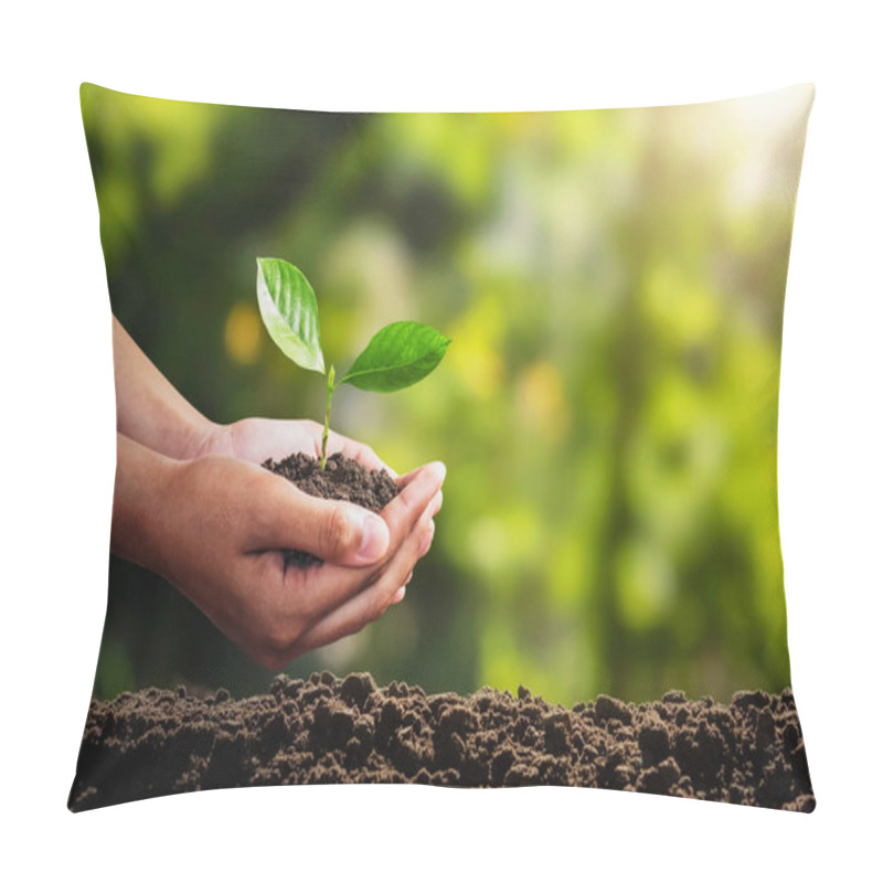 Personality  Young Plant Growing On Hand. Concept Eco Environment Pillow Covers