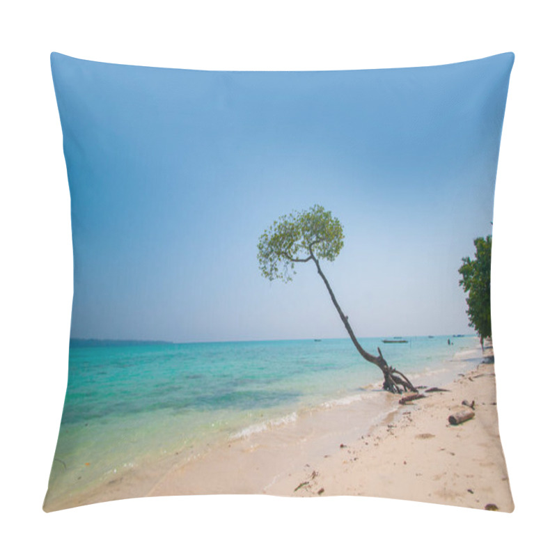 Personality  Mangrove Tree At Vijaynagar Beach At Havelock Island, Andaman And Nicobar, India Pillow Covers