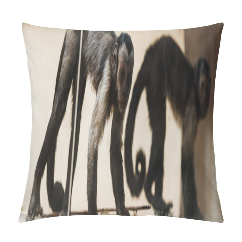 Personality  Panoramic Shot Of Adorable Monkeys In Zoo  Pillow Covers