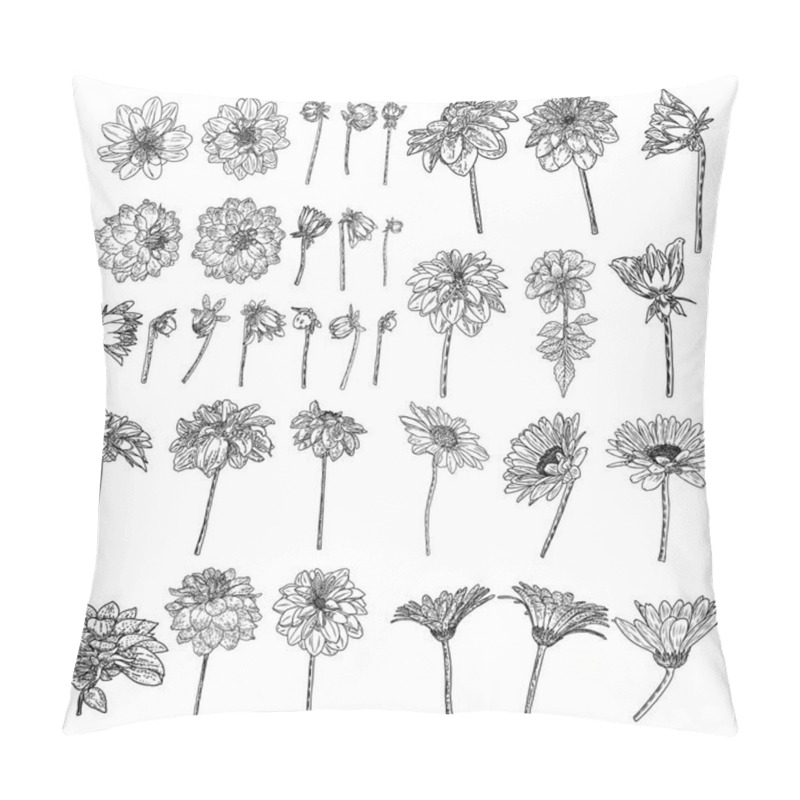 Personality  Large Set Of Drawings Daisy, Dahlias, Zinnia And Gerbera Flower With Closed And Half Open Buds . Floral Hand Drawn Botanical Element Illustration. Vector. Pillow Covers