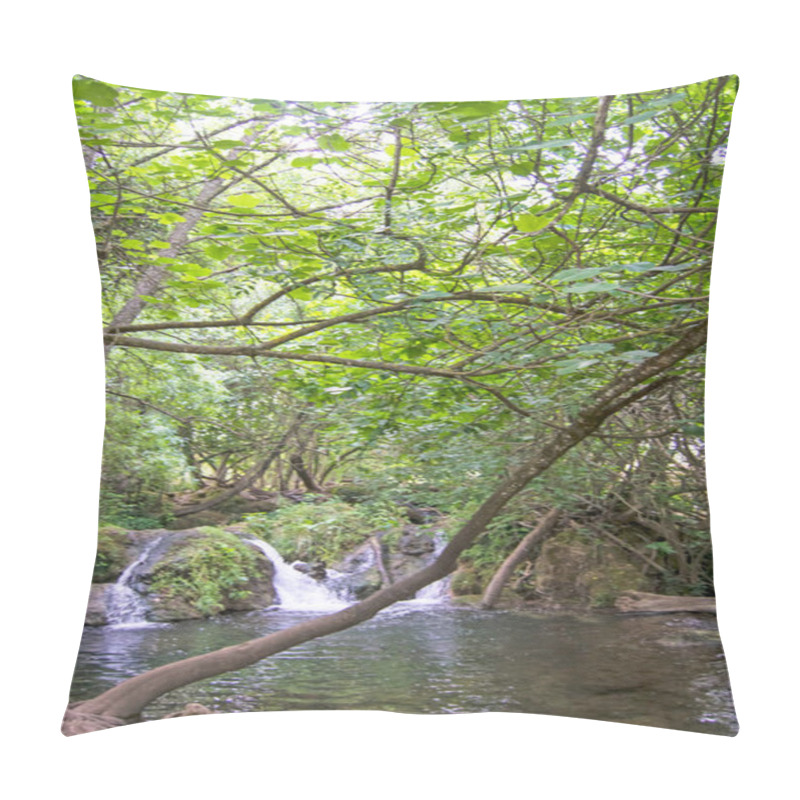 Personality  Waterfall Of Hueznar River In San Nicolas Del Puerto, North Seville Mountain, Andalusia, Spain Pillow Covers