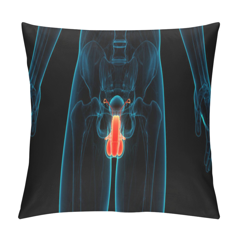 Personality  3D Illustration Concept Of Male Reproductive System Anatomy Pillow Covers