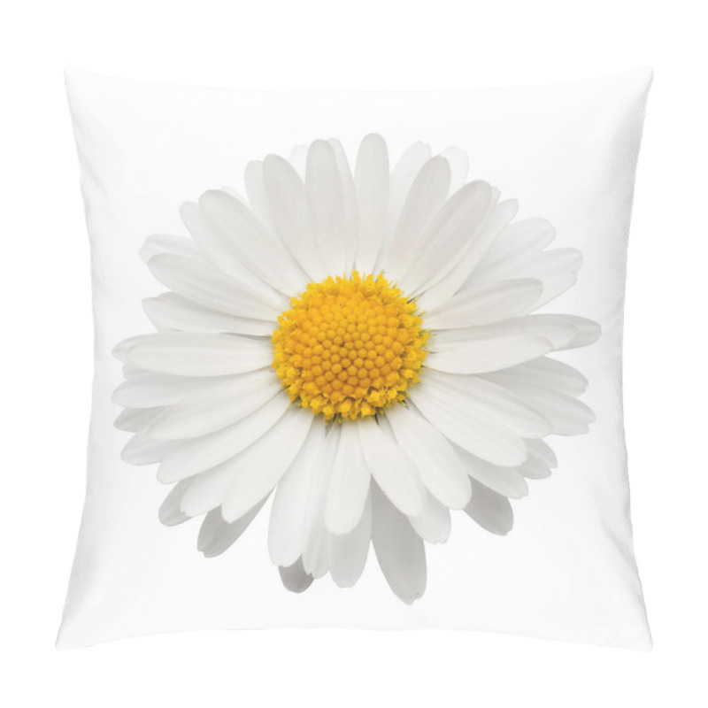 Personality  Beautiful Flower Daisy On White Background Pillow Covers