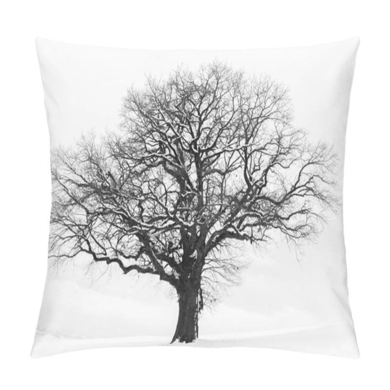 Personality  The Lonely Winter Tree Pillow Covers