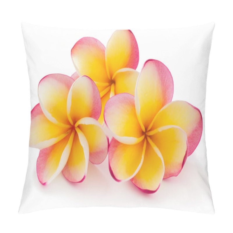 Personality  Frangipani, Plumiera, Frangipanni Pillow Covers