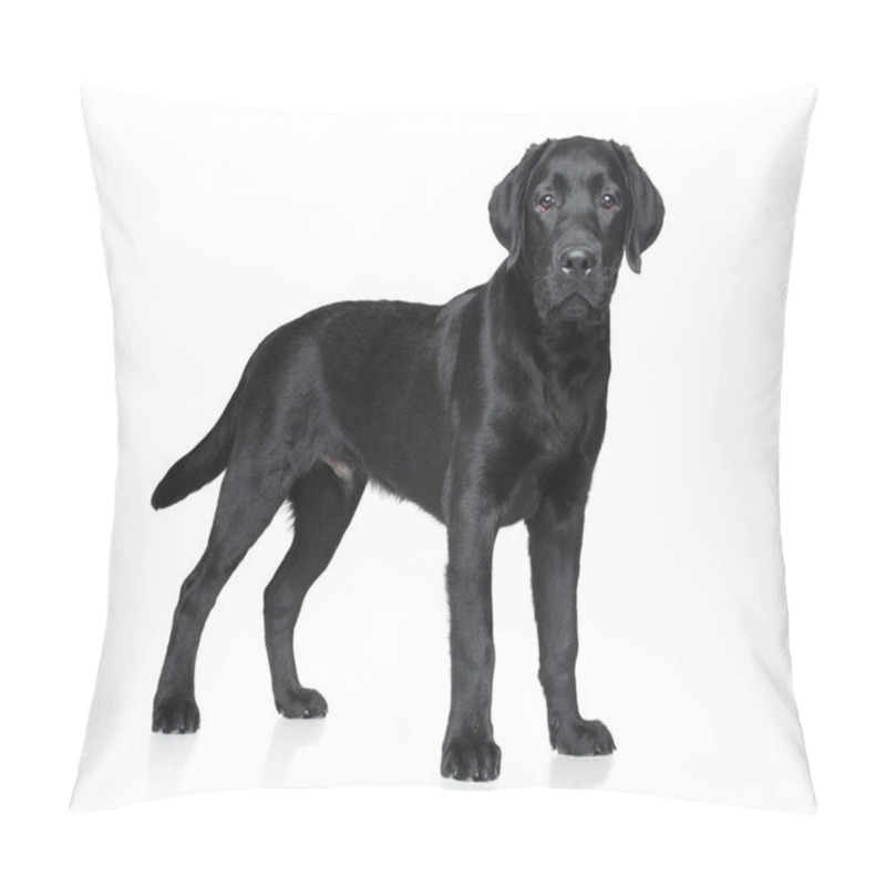 Personality  Black Labrador Puppy Pillow Covers