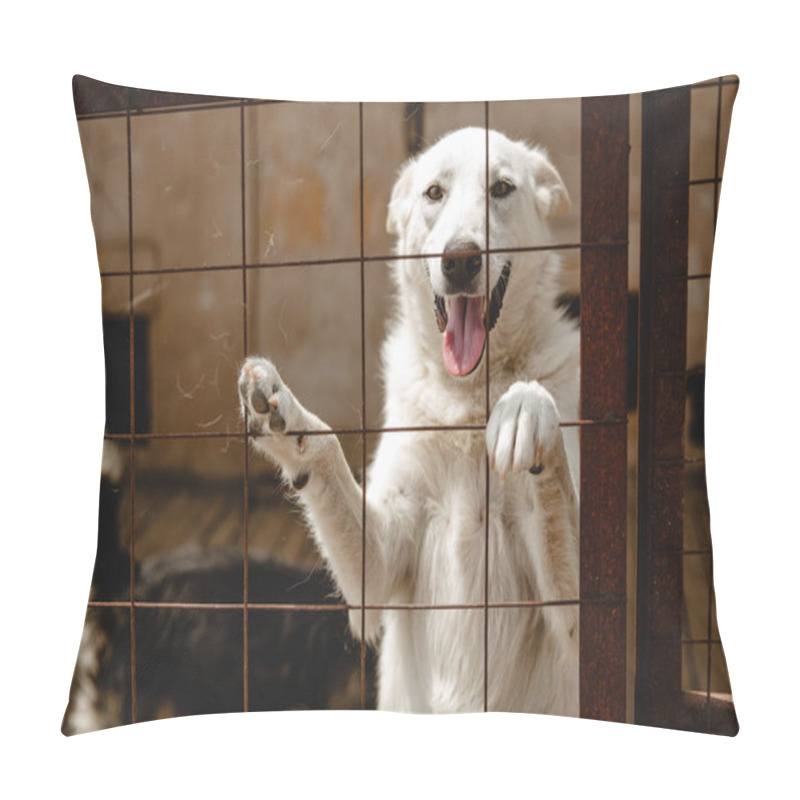 Personality  Dog Of Unknown Breed Behind Bars In A Shelter Pillow Covers