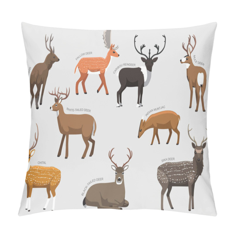 Personality  Various Deer Breeds With Names Set Various Kind Identify Cartoon Vector Pillow Covers