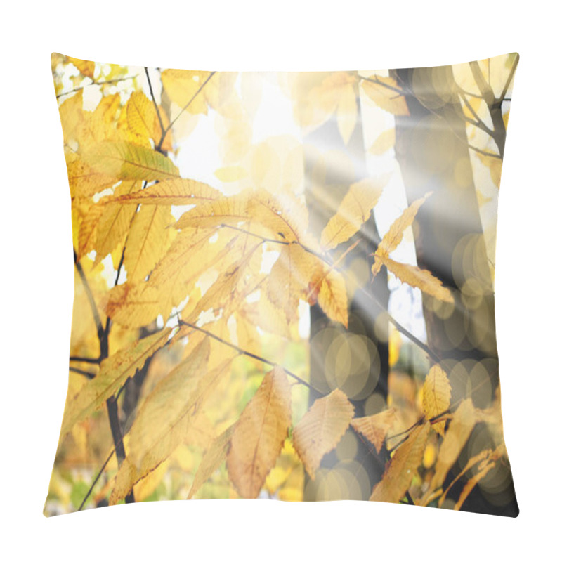 Personality  Autumn Leaves, Fall Season Foliage Pillow Covers