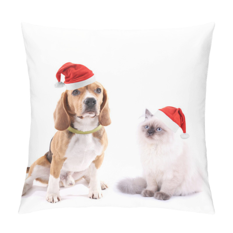 Personality  Cute Dog And Kitten With Christmas Hats Isolated On White Pillow Covers