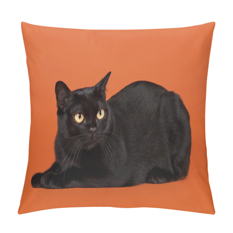 Personality  Black Traditional Bombay Cat On Nuts Background Pillow Covers