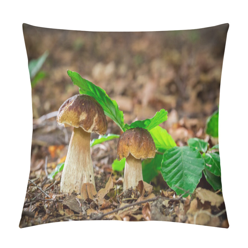 Personality  Two Boletus Mushrooms In Oak Forest Pillow Covers