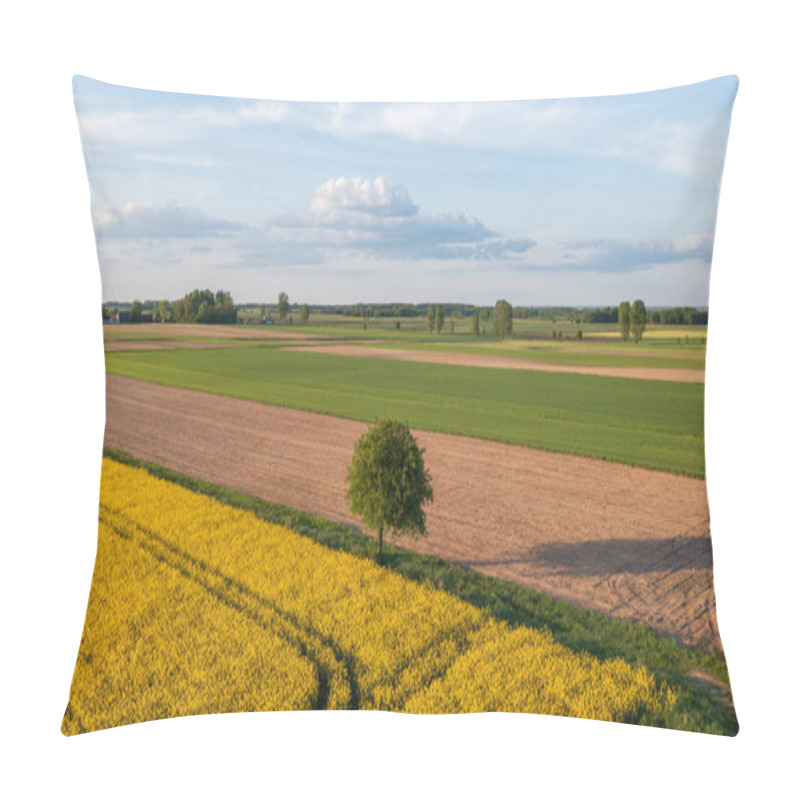 Personality  Yellow Rape Field With Tree Landscape From Aerial, Podlasie Voivodeship, Poland, Europe Pillow Covers