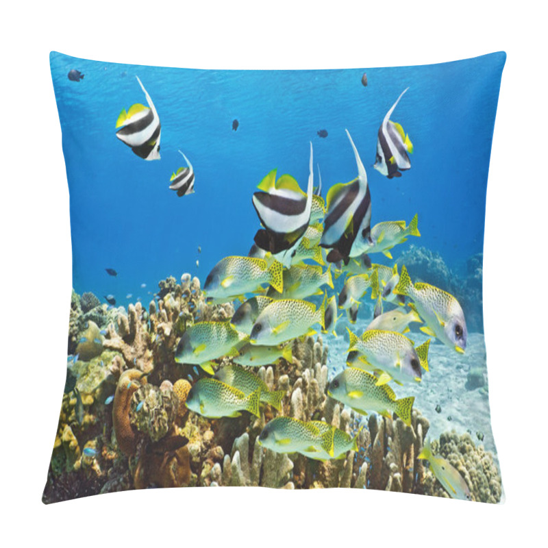 Personality  Shoal Of Fish On The Coral Reef Pillow Covers