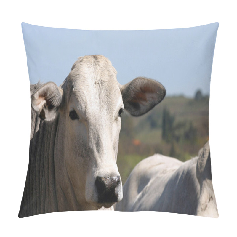 Personality  Cattle Pillow Covers