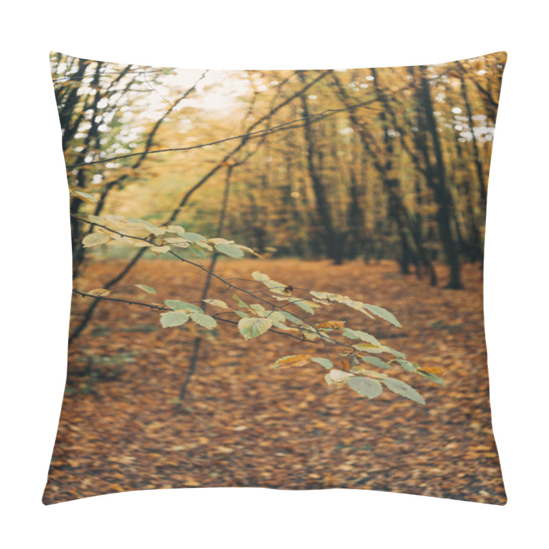 Personality  Selective Focus Of Green Leaves On Tree Branches In Golden Forest  Pillow Covers