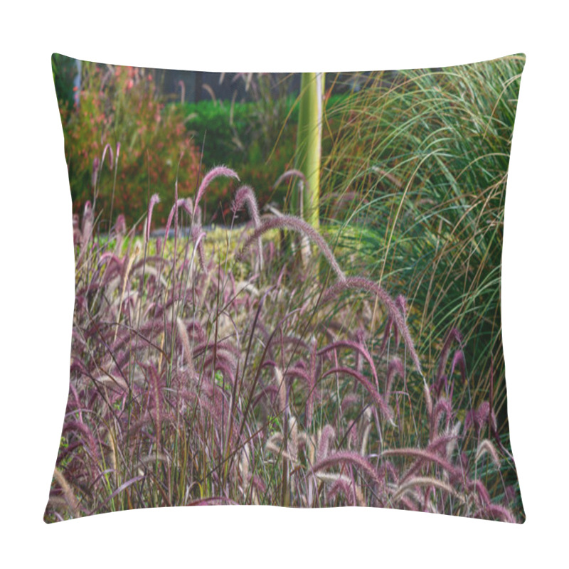 Personality  Lush Ornamental Grasses With Purple Tufts Interact With The Gentle Breeze In A Well-maintained Garden, Capturing The Warm Glow Of The Late Afternoon Sun Beautifully. Pillow Covers