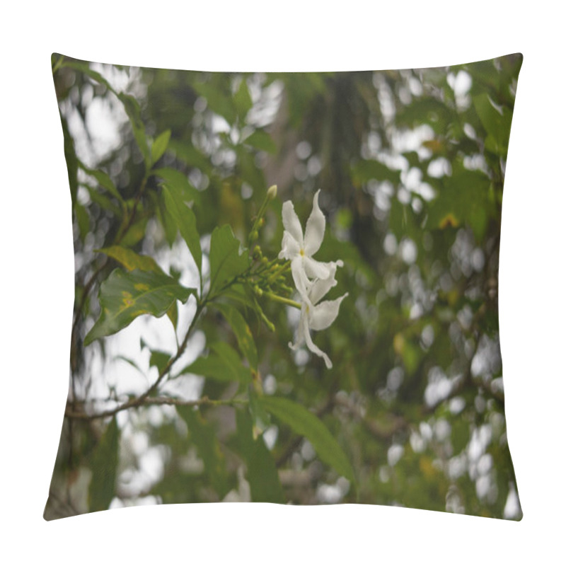 Personality  Delicate White Flowers Of The Pinwheel Jasmine Tabernaemontana Divaricata Bloom On A Green Branch Against A Natural Blurred Background. Pillow Covers