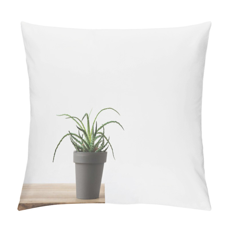 Personality  Green Potted Plant On Wooden Table On White  Pillow Covers