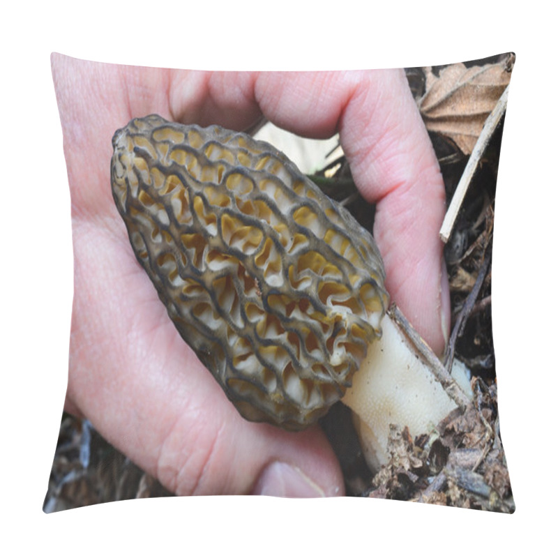 Personality  Morel Mushroom Picking Pillow Covers