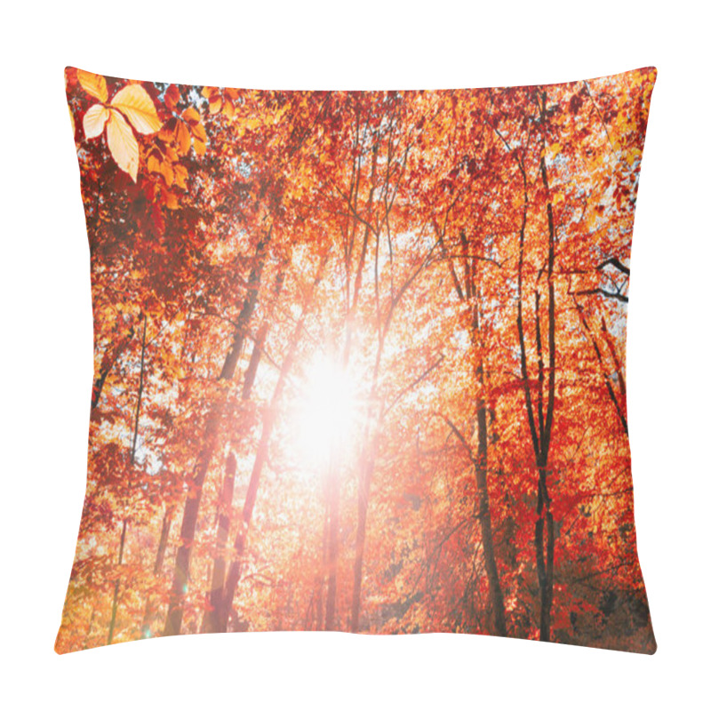 Personality  View Of Trees With Orange And Red Leaves In Autumn.Morning Scene In Colorful Woodland. Nature Concept Background Pillow Covers