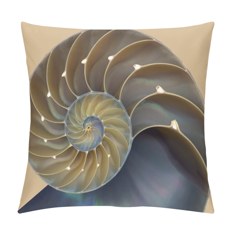 Personality  Nautilus Shell Pattern Pillow Covers