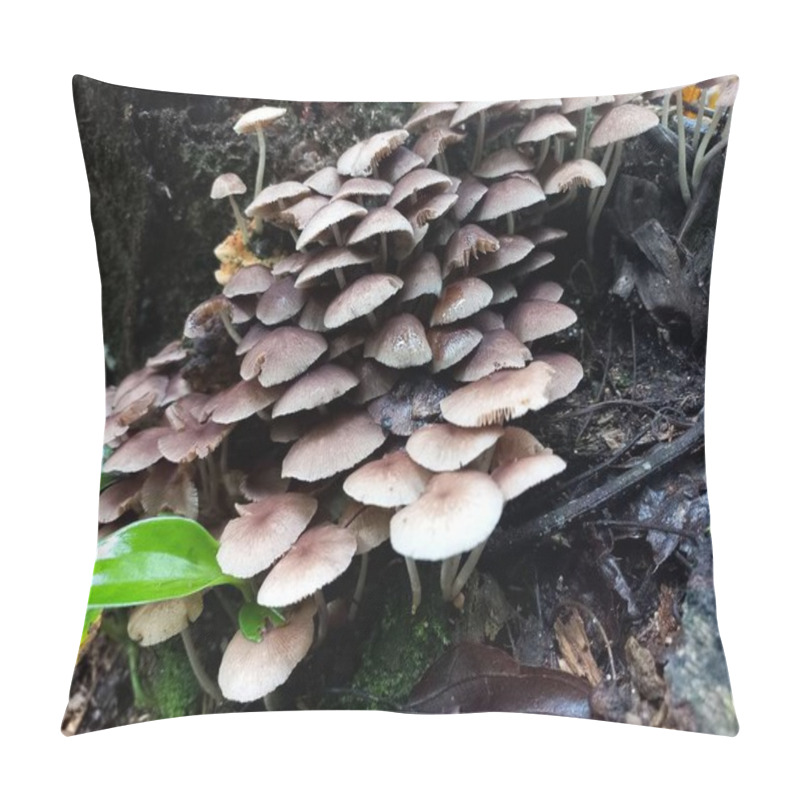 Personality  A Large Number Of Brown Mushrooms Growing On A Moss-covered Log. Green Leaves And Branches Around. Natural Lighting In A Forest Environment. Pillow Covers