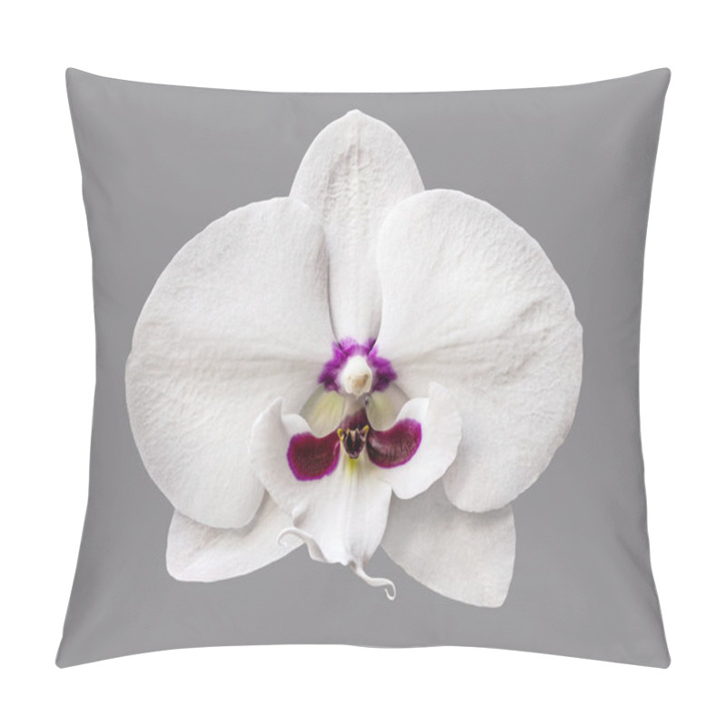 Personality  Perfect Luxurious Tender White Orchid Isolated Pillow Covers