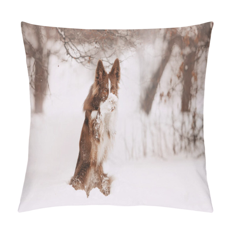 Personality  Border Collie Dog Doing Tricks Outdoors In Winter Pillow Covers