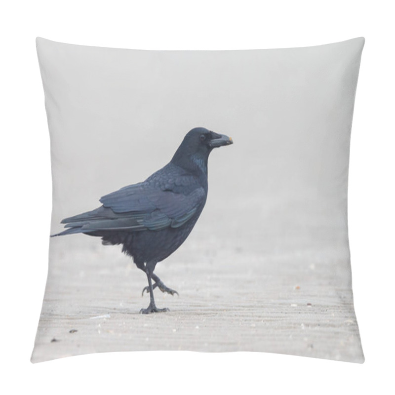 Personality  Black Crow, Corvus Corone Pillow Covers