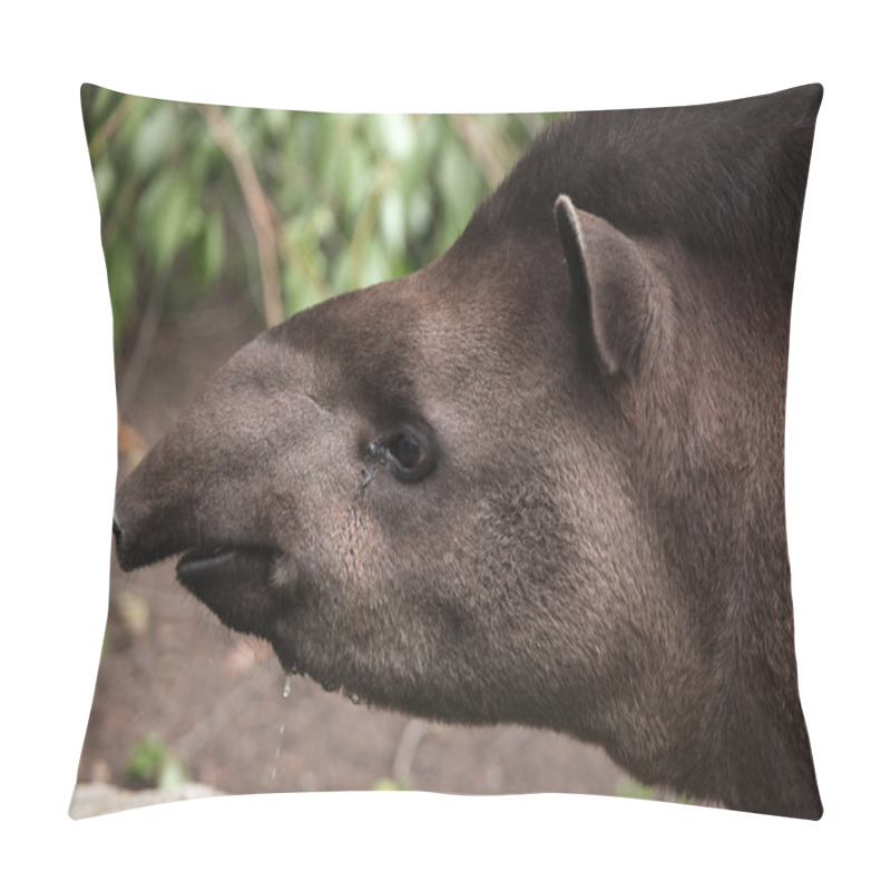 Personality  South American Tapir Pillow Covers