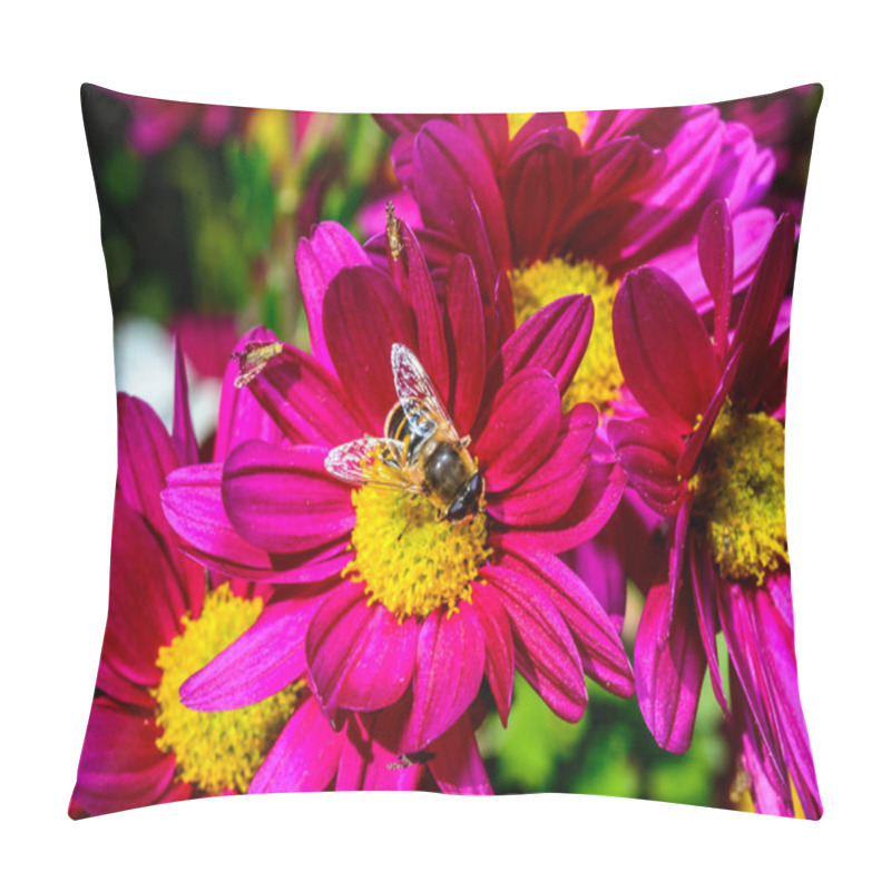 Personality  Batman Hoverfly - Myathropa Florea,  Flower Fly Hoverfly Collects Nectar On Autumn Flowers Chrysanthemum In The Garden Pillow Covers