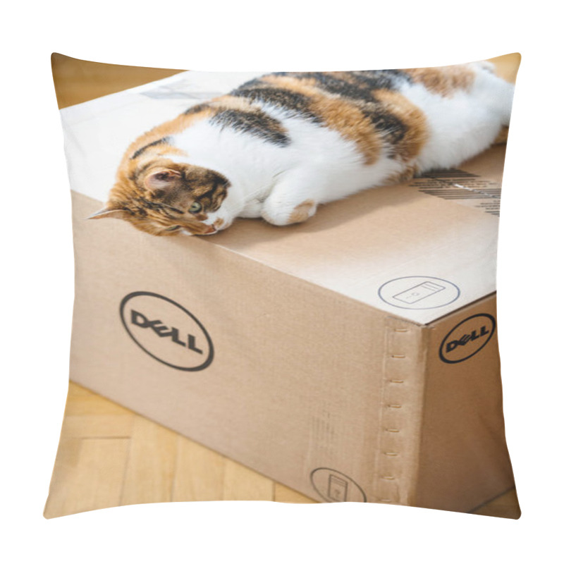 Personality  Funny Cat Sleeping On DELL Computer Box  Pillow Covers