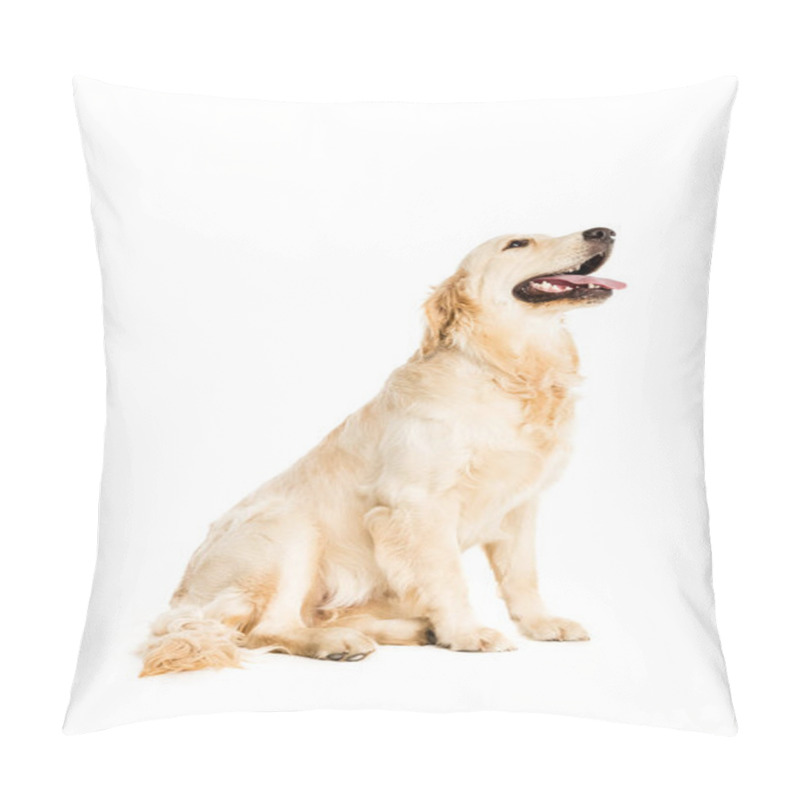 Personality  Golden Retriever Dog   Pillow Covers