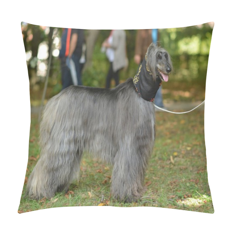 Personality  Afghan Hound Pillow Covers