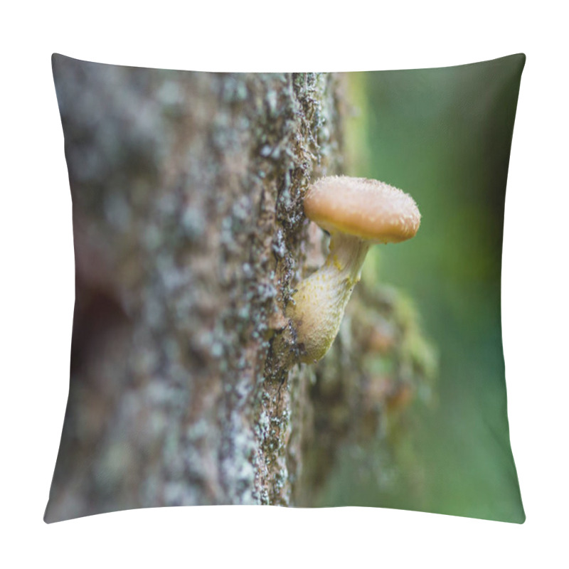 Personality  Honey Mushrooms Cluster Pillow Covers