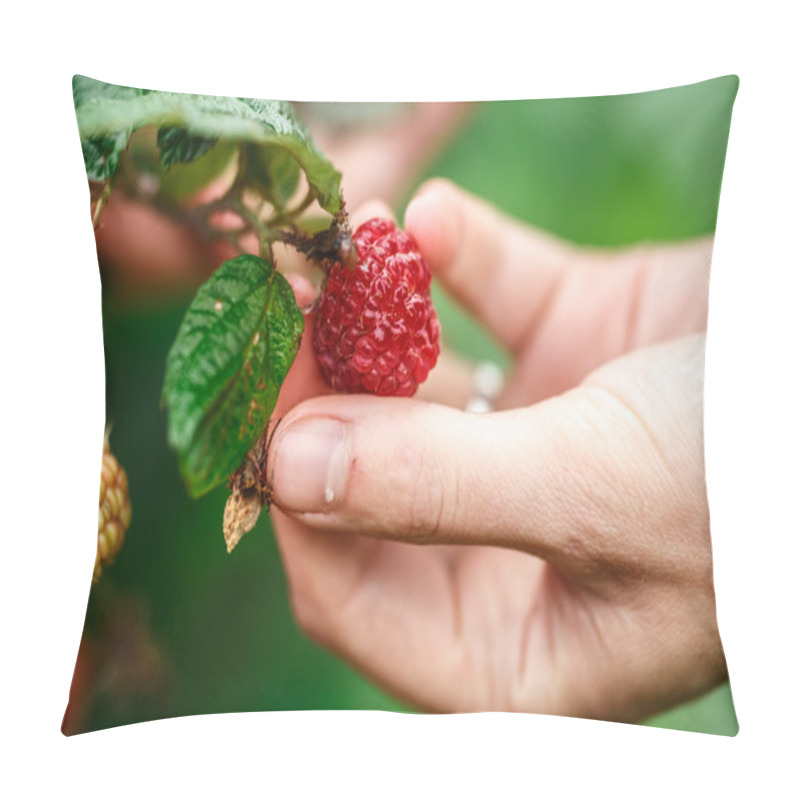 Personality  Raspberry Picking Pillow Covers