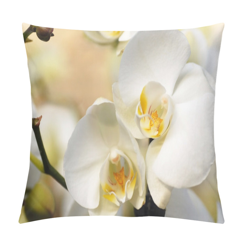 Personality  White Orchid Pillow Covers